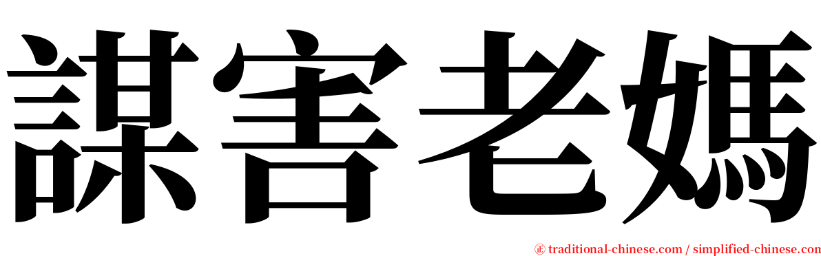 謀害老媽 serif font