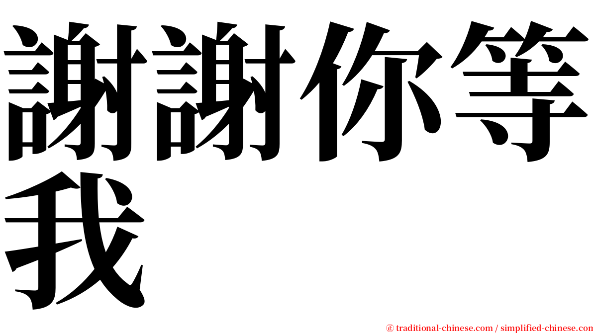 謝謝你等我 serif font