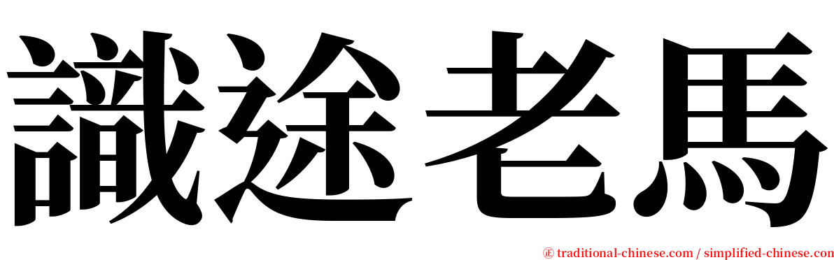 識途老馬 serif font