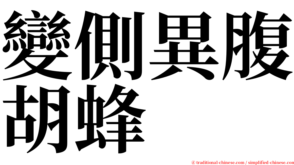 變側異腹胡蜂 serif font