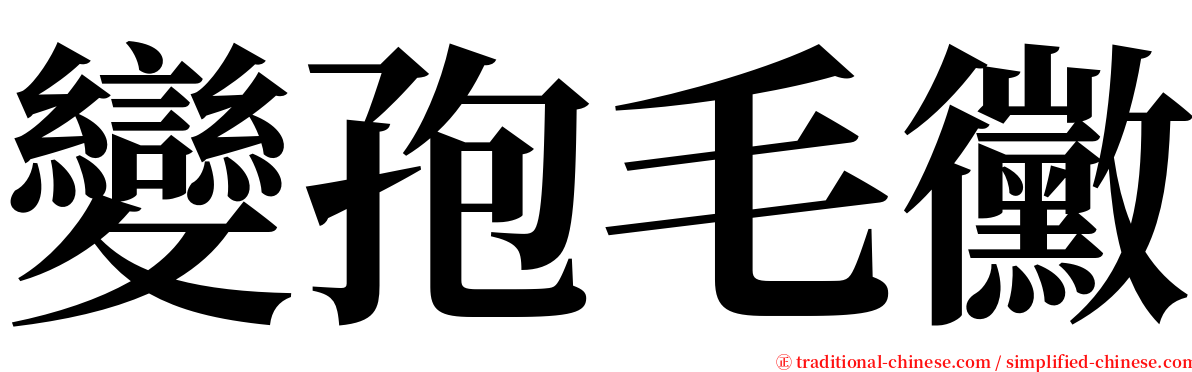 變孢毛黴 serif font