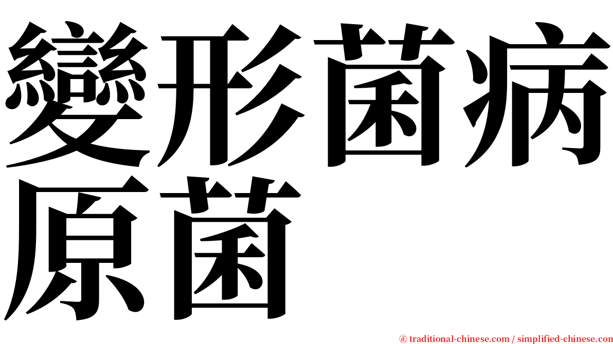 變形菌病原菌 serif font