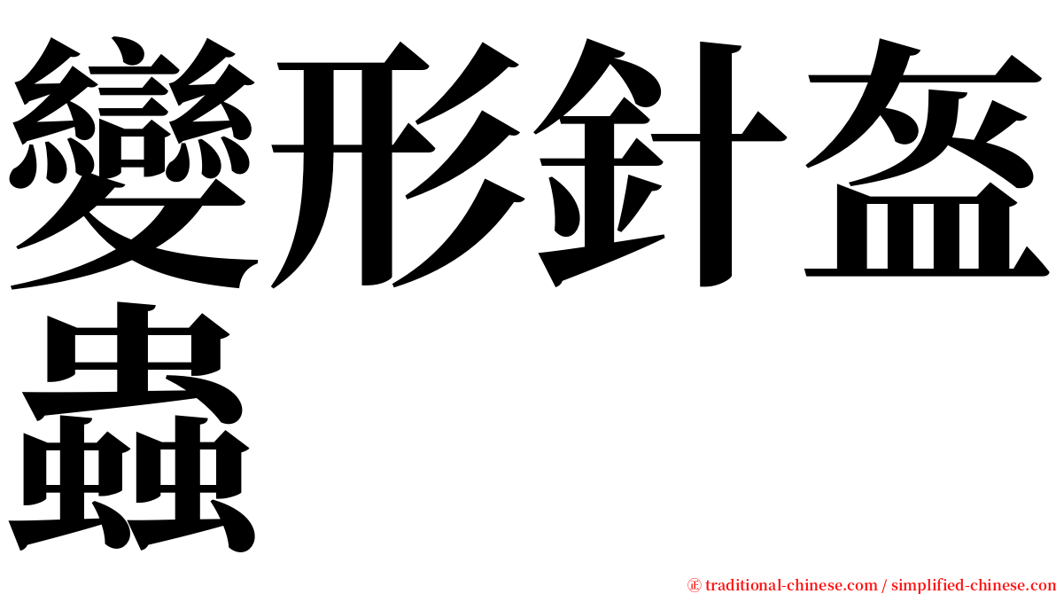 變形針盔蟲 serif font