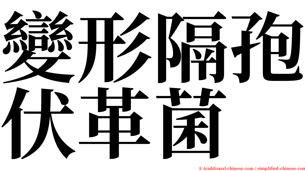 變形隔孢伏革菌 serif font