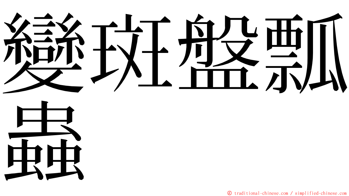 變斑盤瓢蟲 ming font