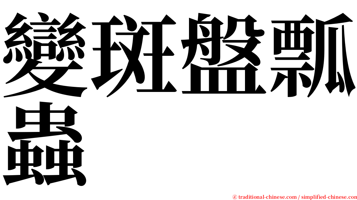 變斑盤瓢蟲 serif font