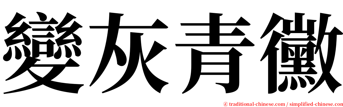 變灰青黴 serif font