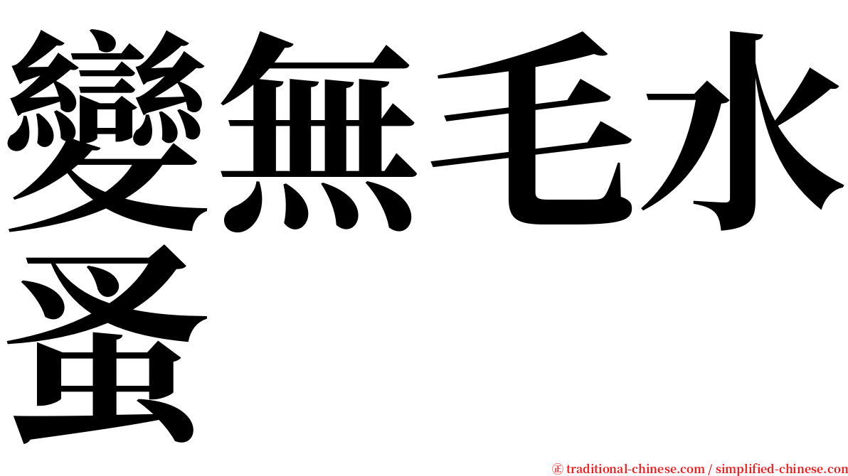 變無毛水蚤 serif font