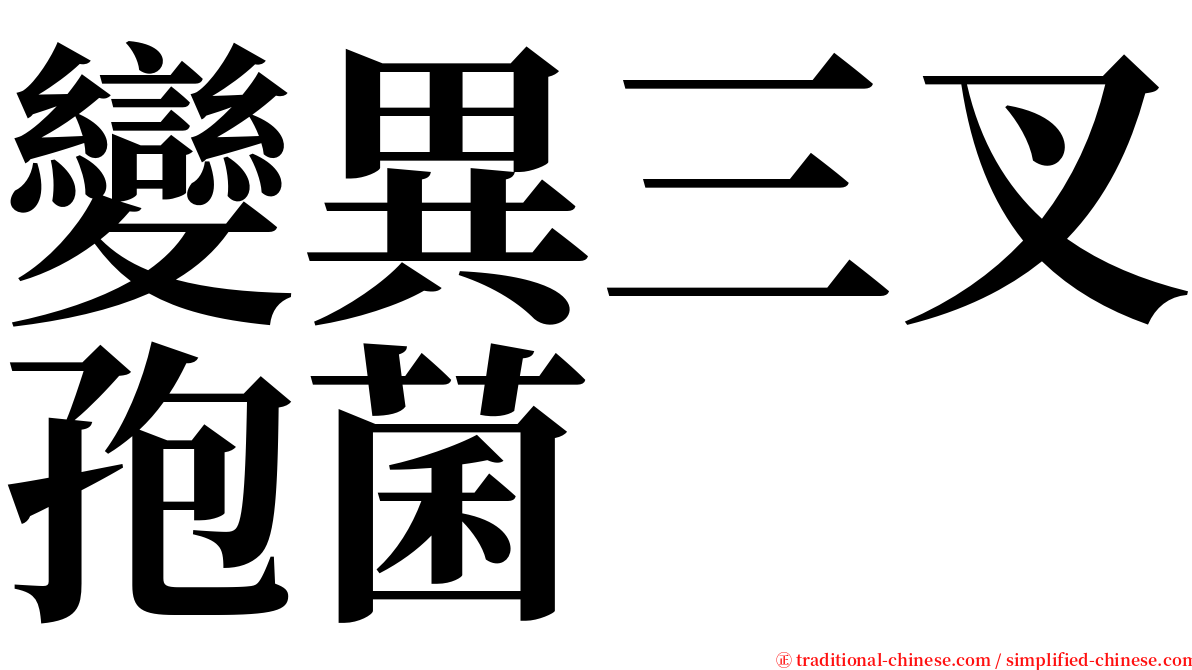 變異三叉孢菌 serif font