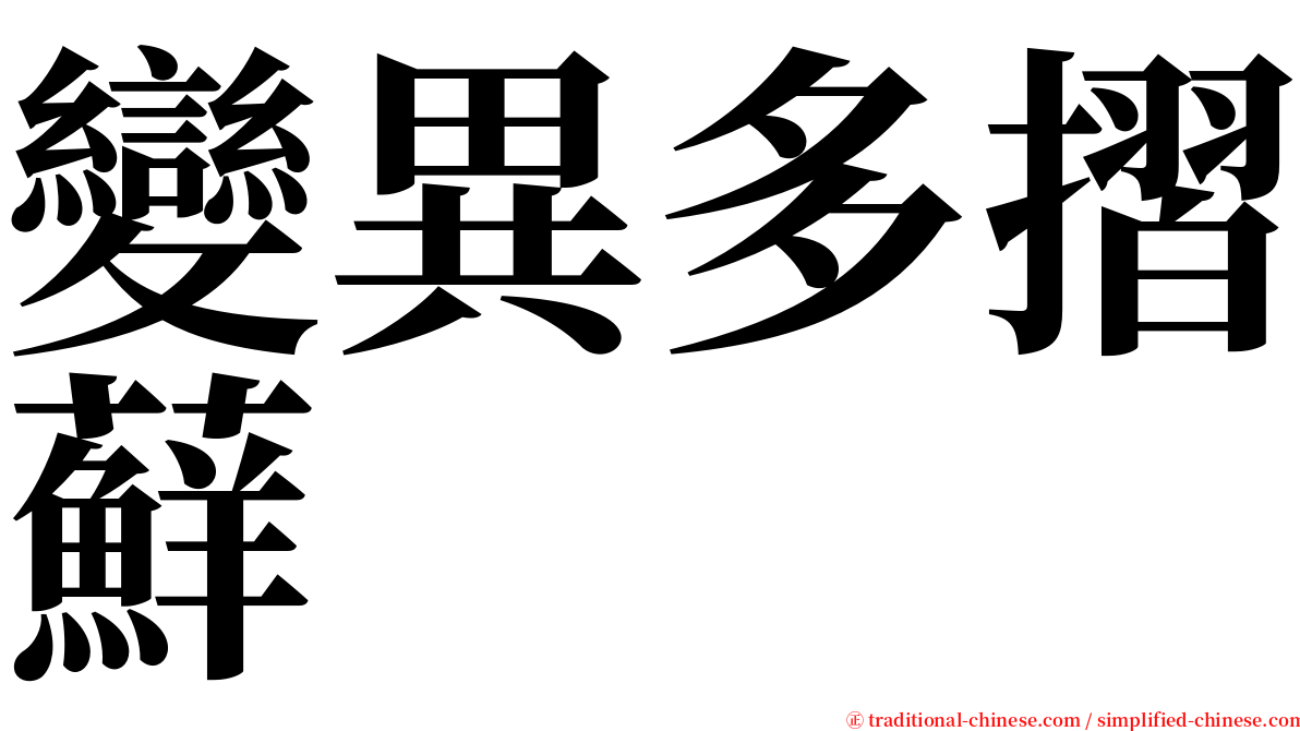 變異多摺蘚 serif font