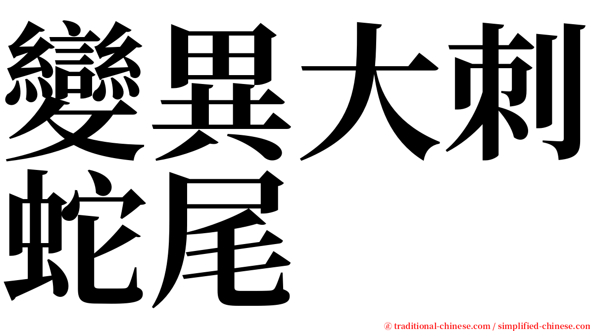 變異大刺蛇尾 serif font