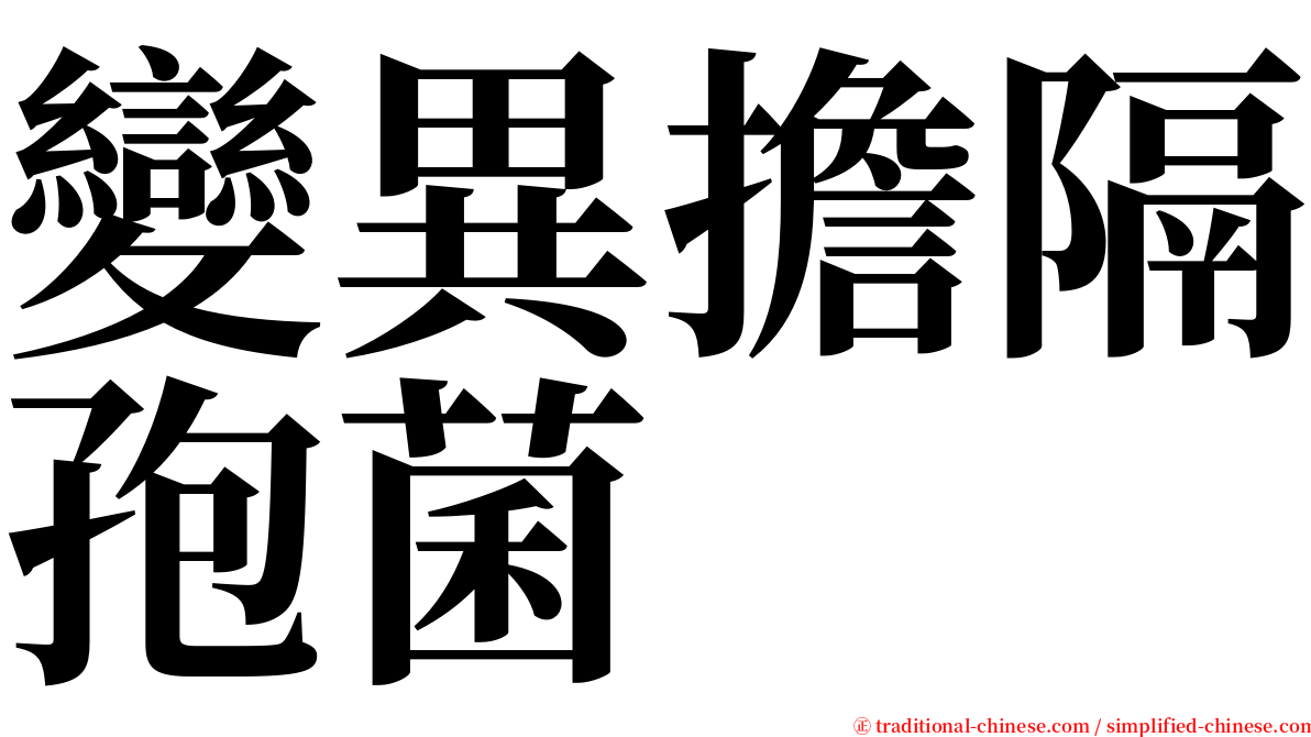 變異擔隔孢菌 serif font