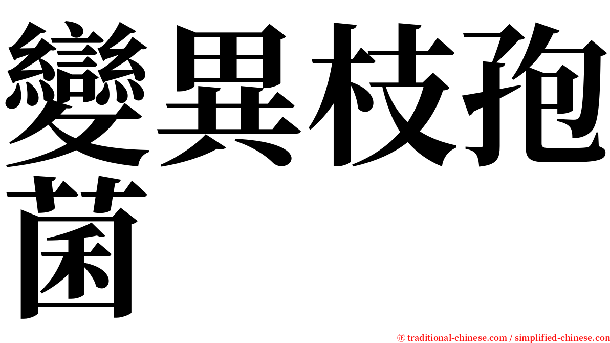 變異枝孢菌 serif font