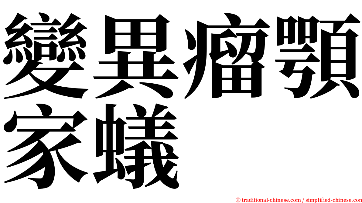 變異瘤顎家蟻 serif font