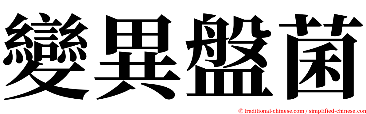 變異盤菌 serif font