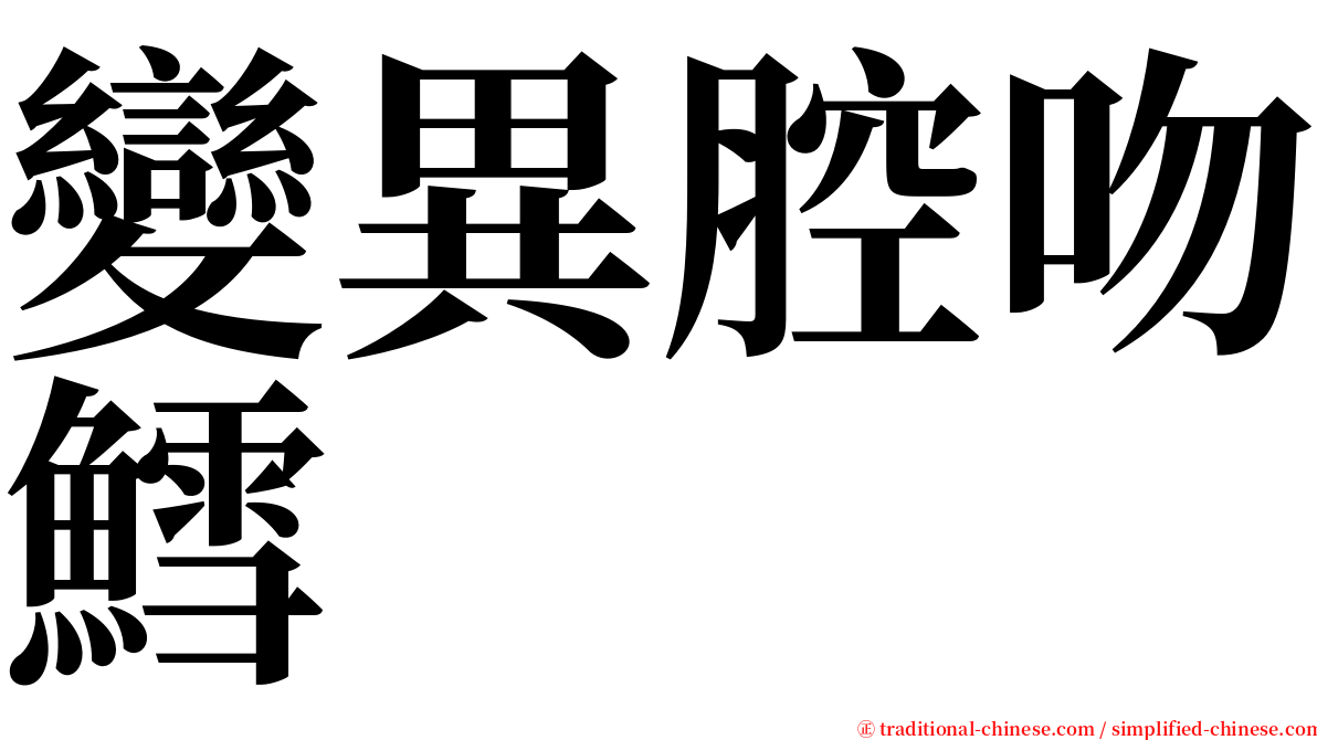 變異腔吻鱈 serif font