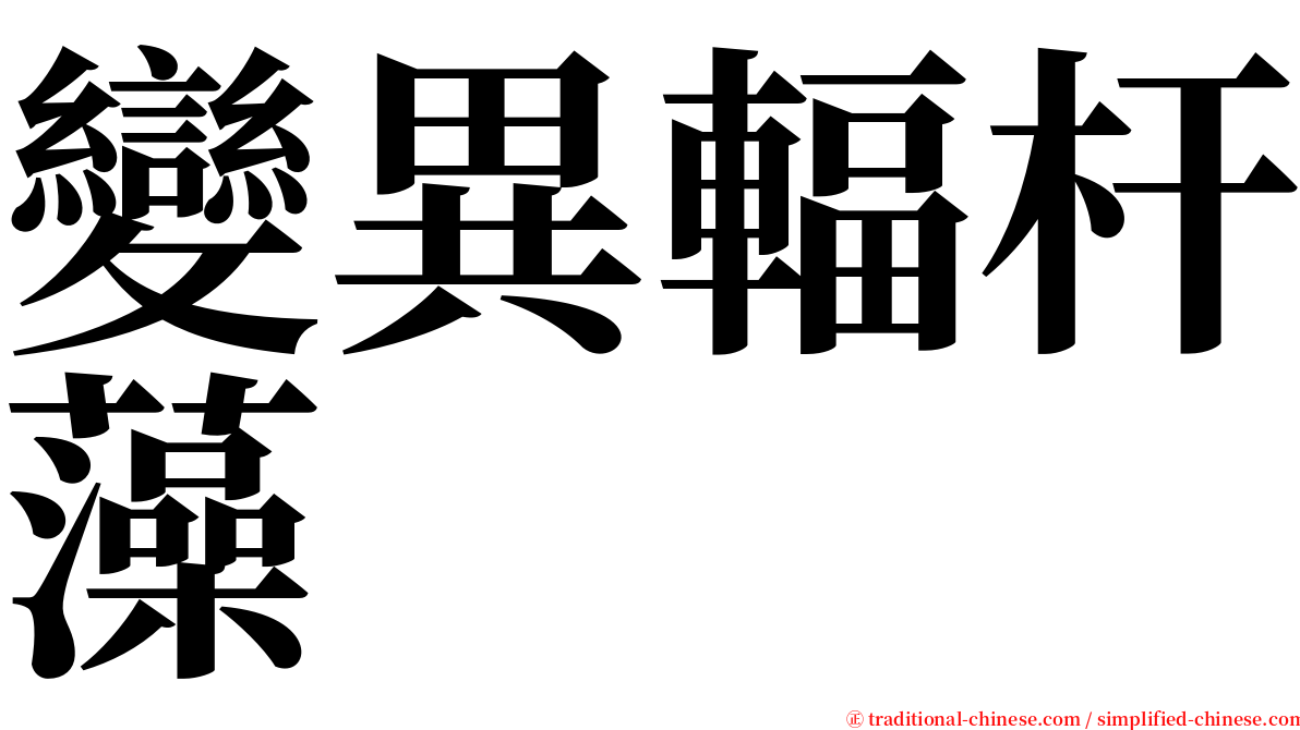 變異輻杆藻 serif font