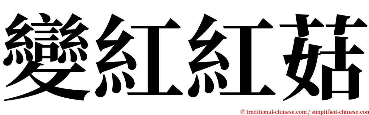 變紅紅菇 serif font