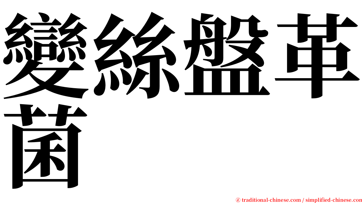 變絲盤革菌 serif font