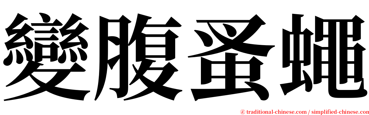 變腹蚤蠅 serif font