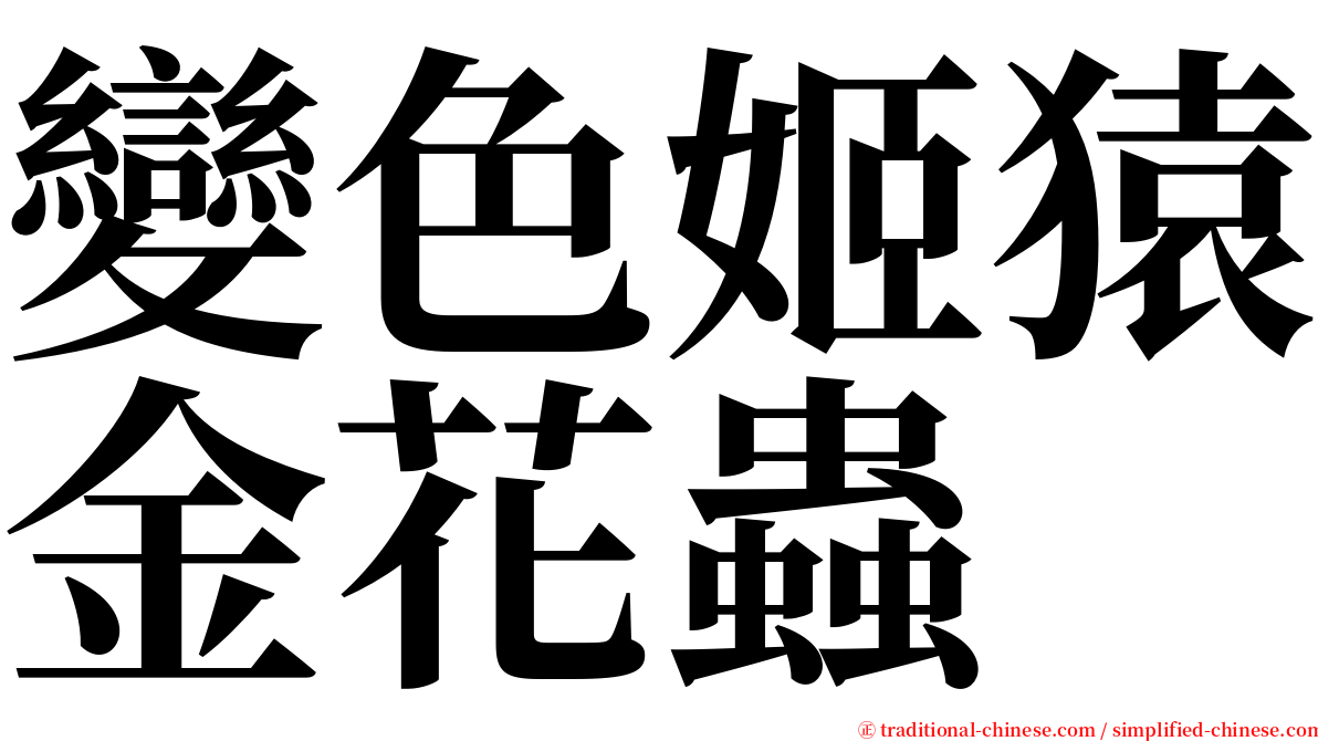 變色姬猿金花蟲 serif font