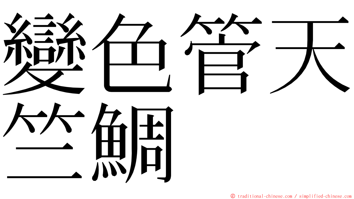 變色管天竺鯛 ming font