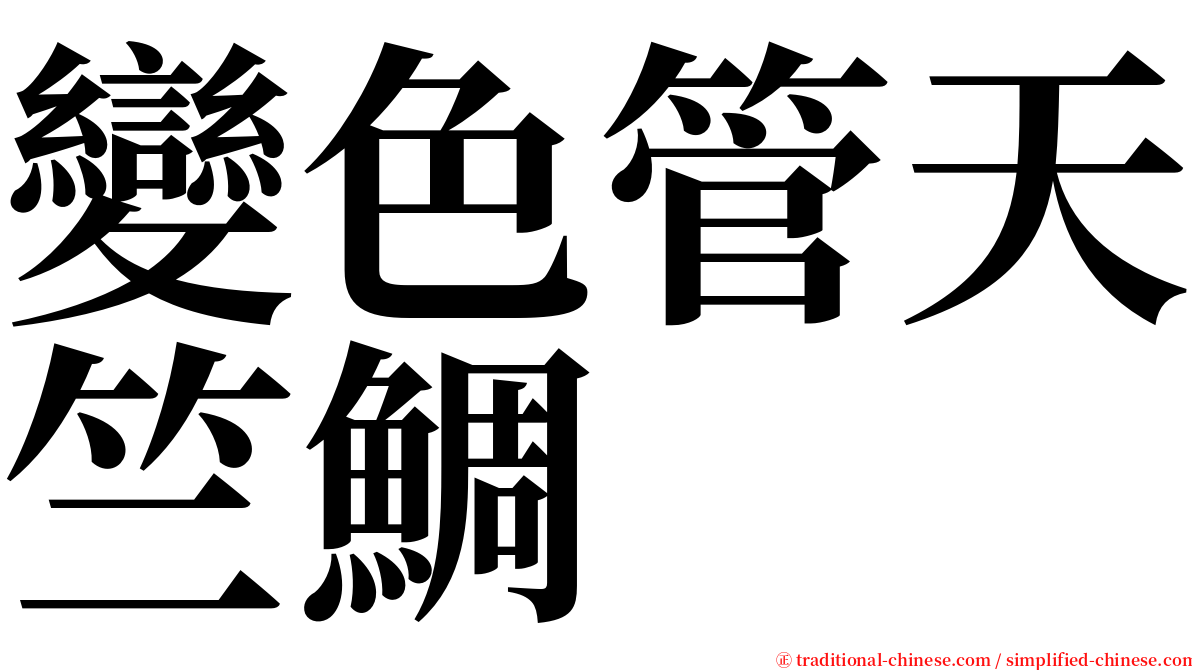 變色管天竺鯛 serif font