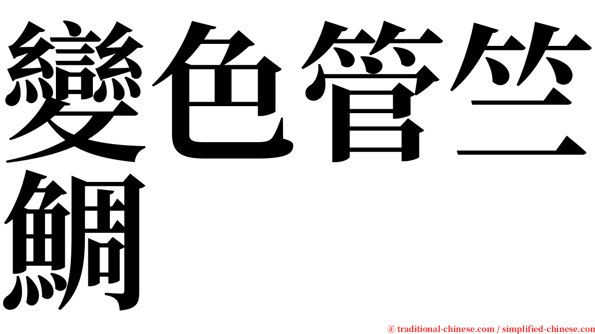 變色管竺鯛 serif font