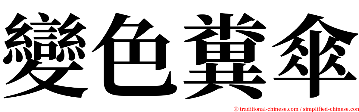 變色糞傘 serif font