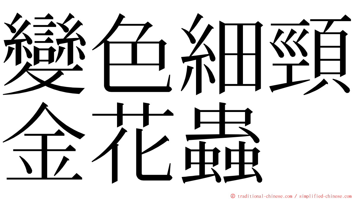 變色細頸金花蟲 ming font