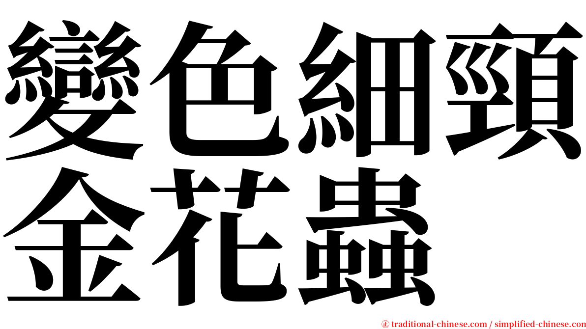 變色細頸金花蟲 serif font