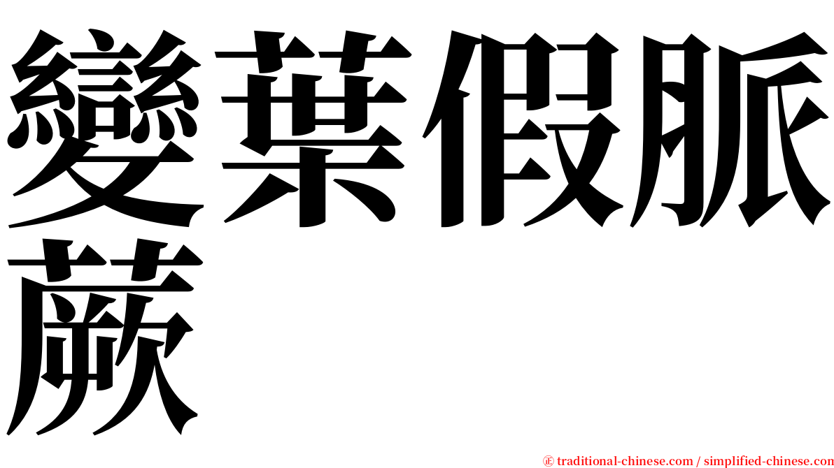 變葉假脈蕨 serif font