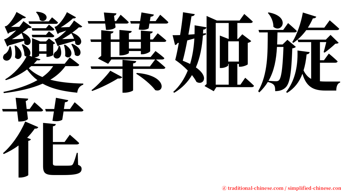 變葉姬旋花 serif font