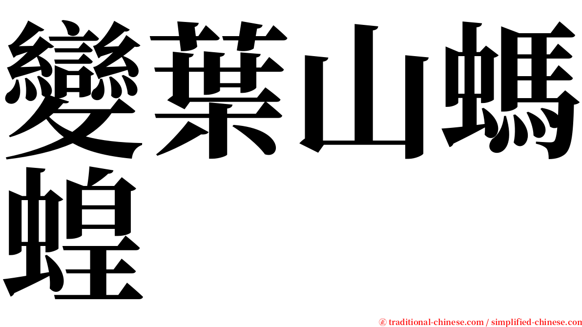 變葉山螞蝗 serif font