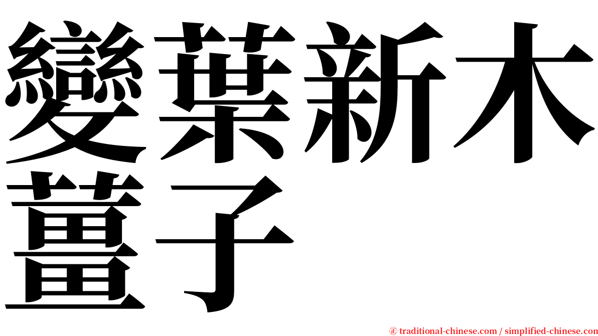 變葉新木薑子 serif font