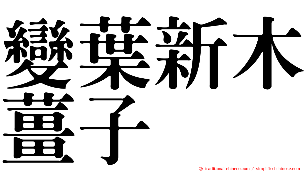 變葉新木薑子