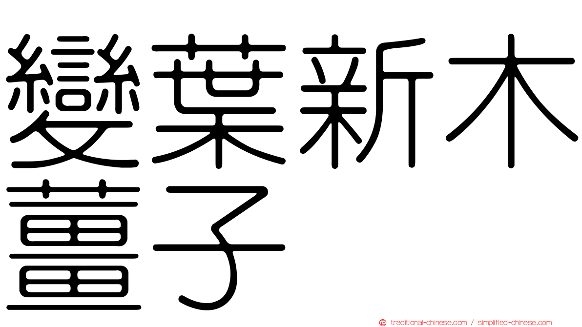 變葉新木薑子