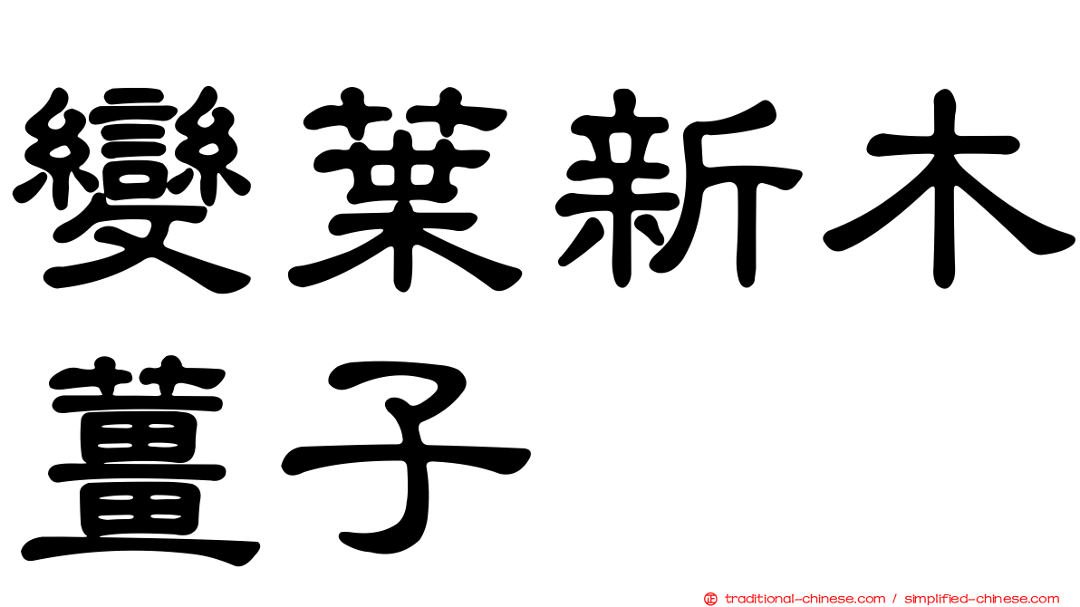變葉新木薑子