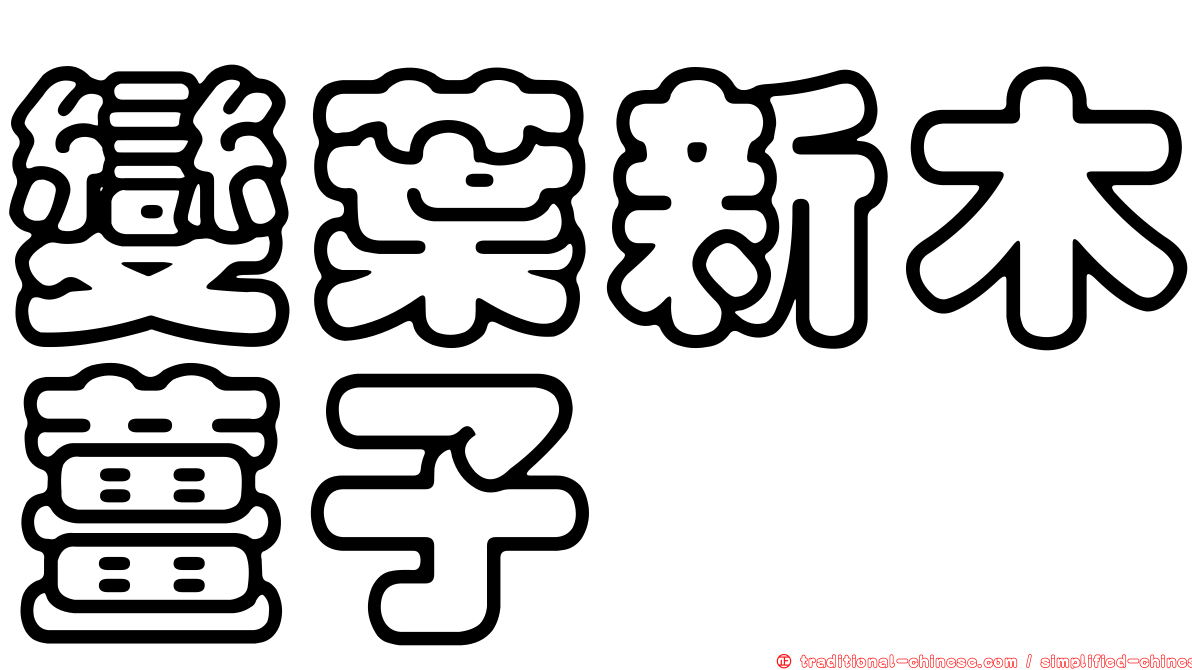 變葉新木薑子