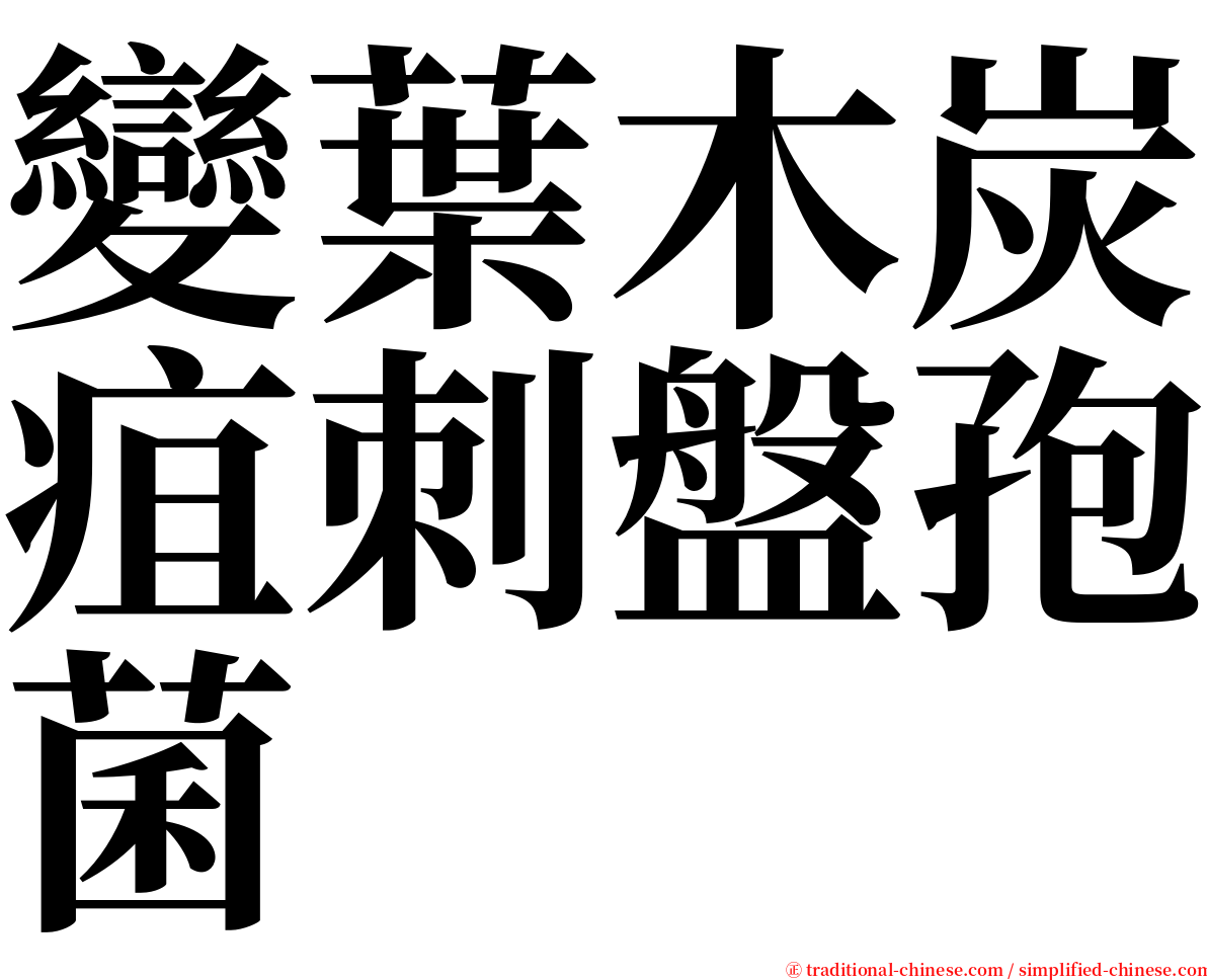 變葉木炭疽刺盤孢菌 serif font