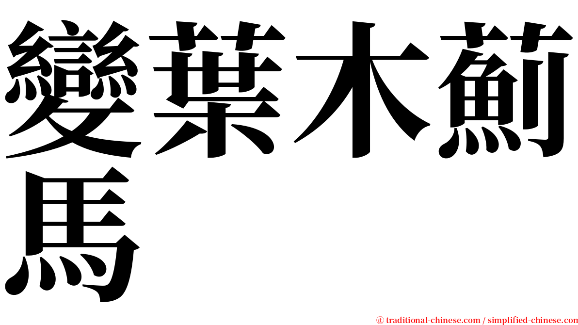 變葉木薊馬 serif font