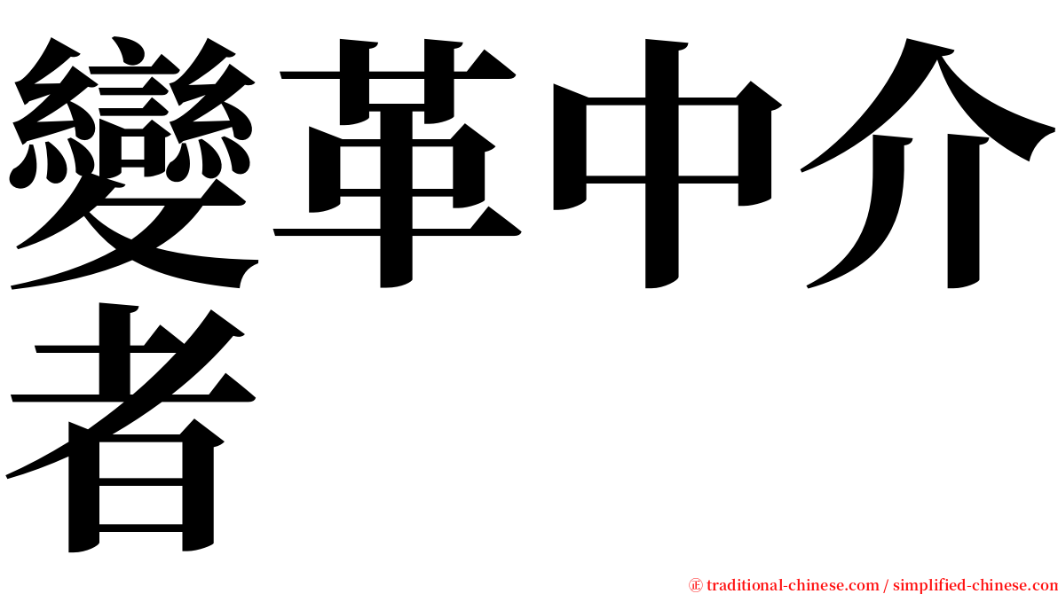 變革中介者 serif font