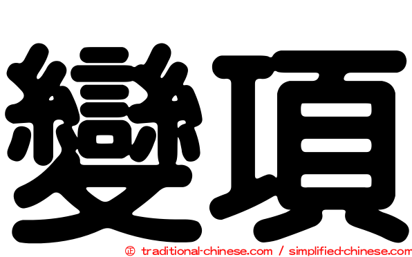 變項