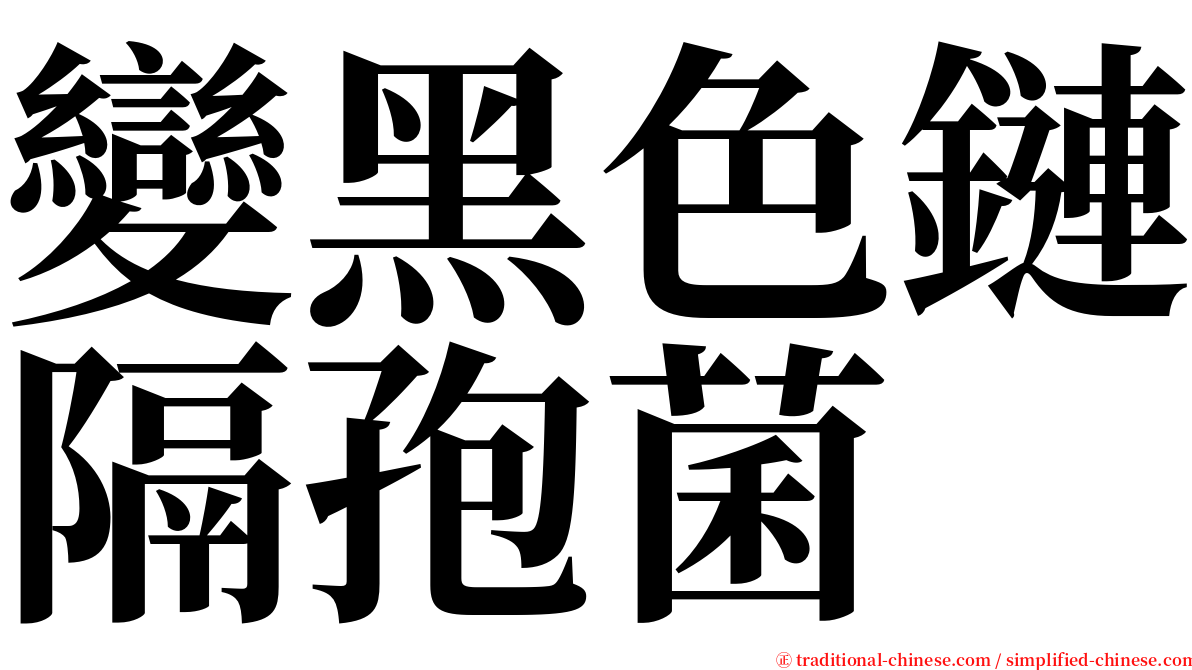 變黑色鏈隔孢菌 serif font