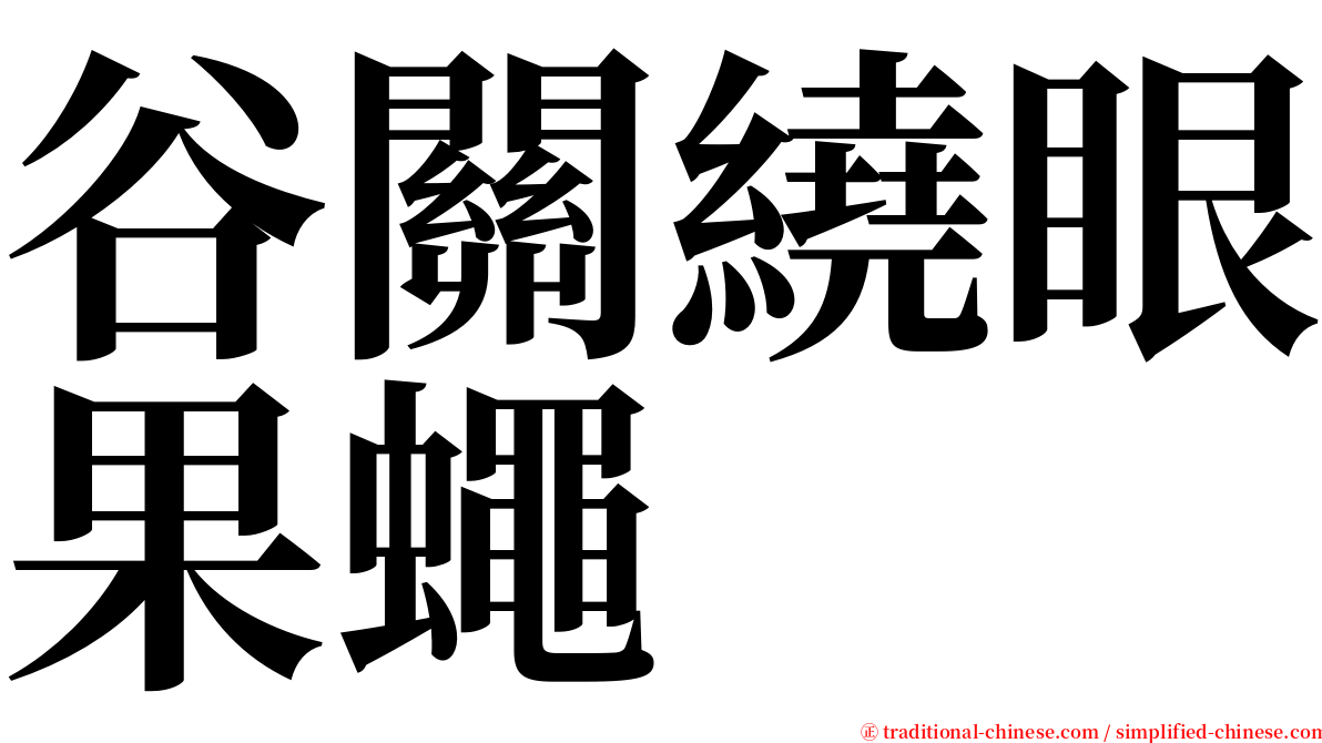 谷關繞眼果蠅 serif font