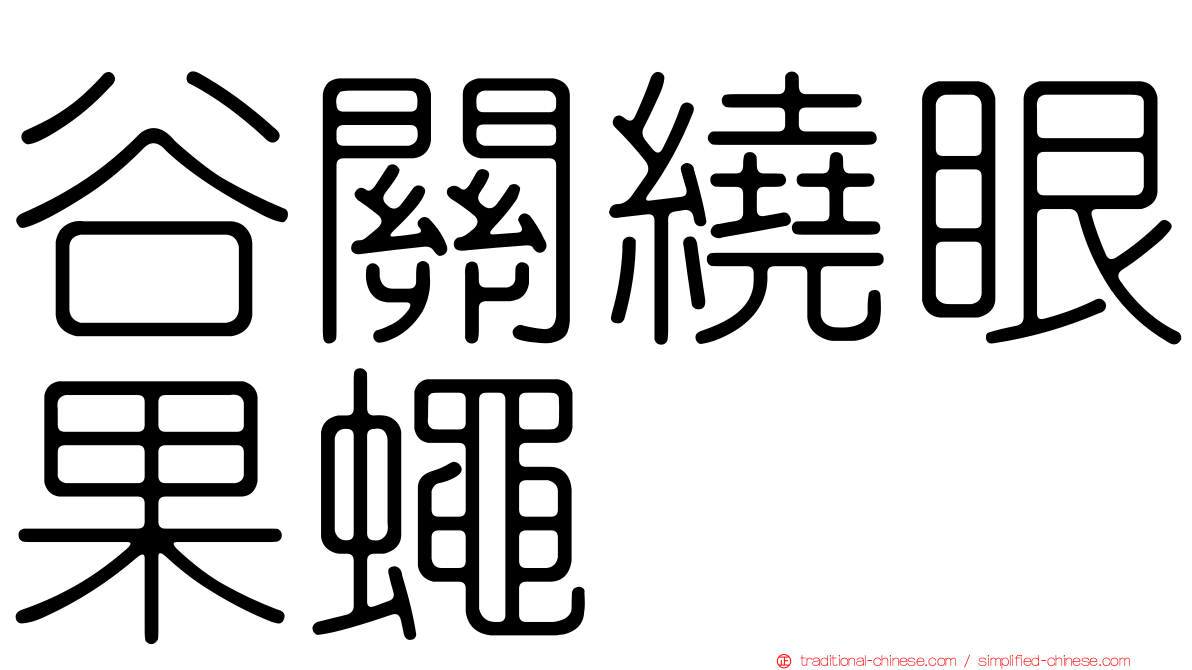 谷關繞眼果蠅