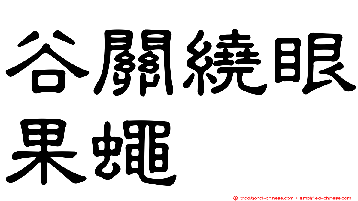 谷關繞眼果蠅