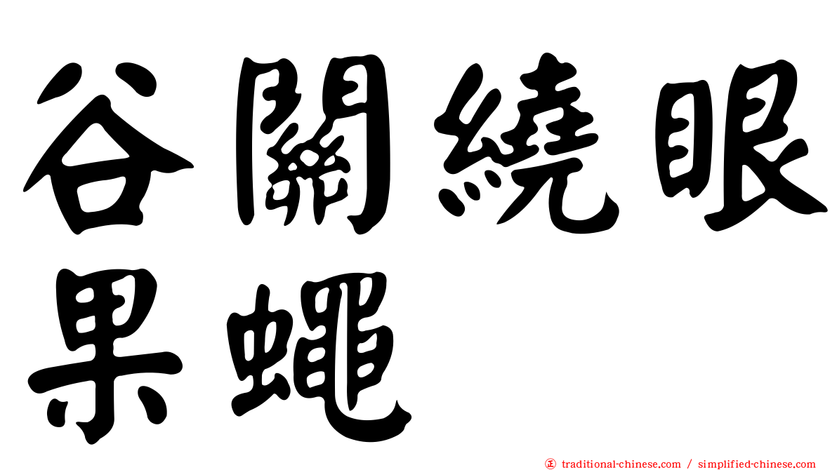 谷關繞眼果蠅