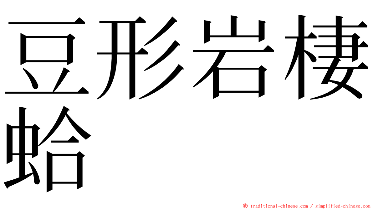 豆形岩棲蛤 ming font