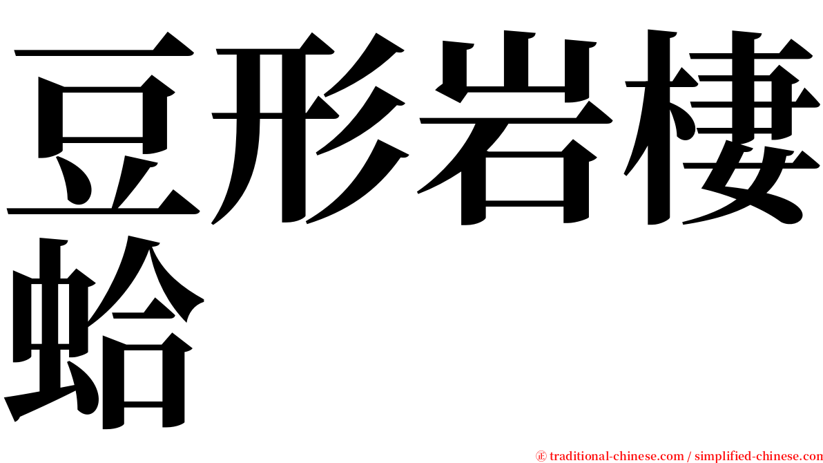 豆形岩棲蛤 serif font